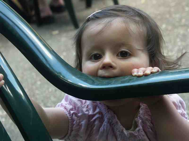 Clic ici pour voir l'image suivante