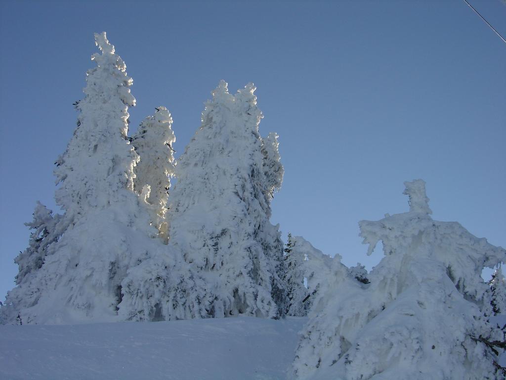 Clic pour l'image suivante