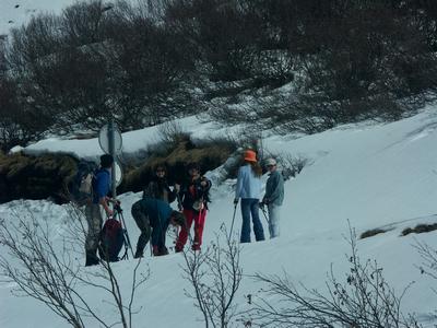 Cliquer pour agrandir l'image (507x380 pixels; 57 KB)