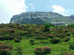 Cliquer pour agrandir l'image (1600x1200 pixels; 5625 KB)