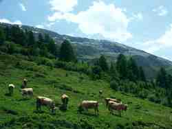 Cliquer pour agrandir l'image (1600x1200 pixels; 5625 KB)