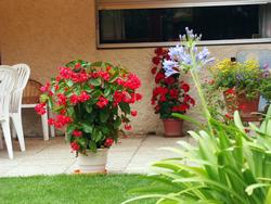 Cliquer pour agrandir l'image (1600x1200 pixels; 5625 KB)