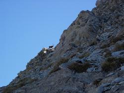 Cliquer pour agrandir l'image (800x600 pixels; 83 KB)