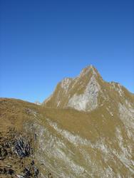 Cliquer pour agrandir l'image (450x600 pixels; 55 KB)