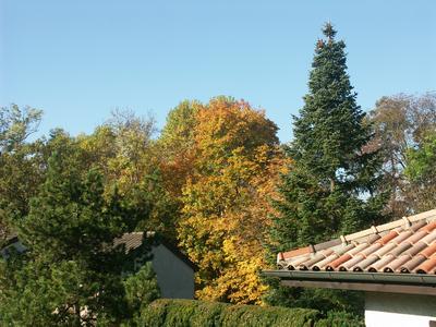 Cliquer pour agrandir l'image (640x480 pixels; 100 KB)