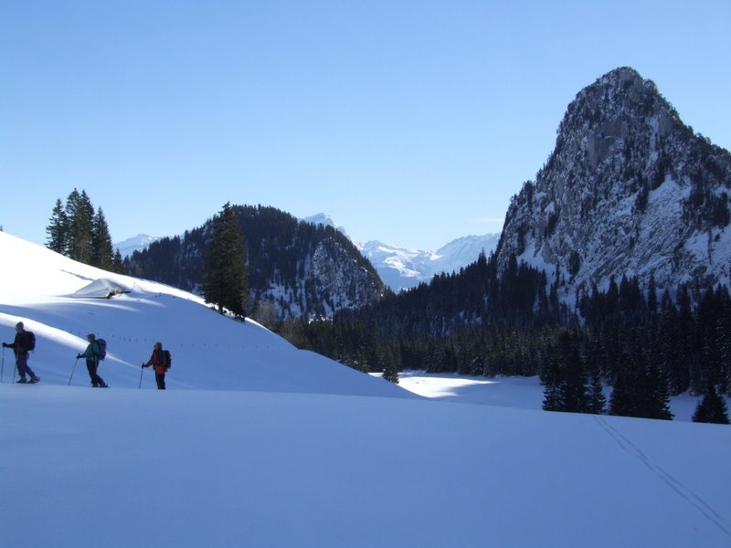 Clic ici pour voir l'image suivante