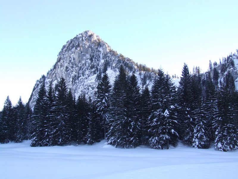 Clic ici pour voir l'image suivante