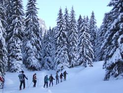 Cliquer pour agrandir l'image (1024x768 pixels; 249 KB)