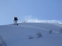 Cliquer pour agrandir l'image (1024x768 pixels; 56 KB)