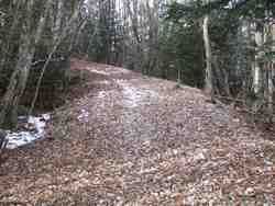 Cliquer pour agrandir l'image (1024x768 pixels; 239 KB)