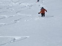 Cliquer pour agrandir l'image (800x600 pixels; 57 KB)