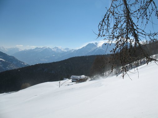 Cliquer pour voir l'image suivante