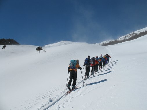 Cliquer pour voir l'image suivante