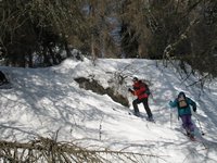 Cliquer pour agrandir l'image (507x380 pixels; 66 KB)