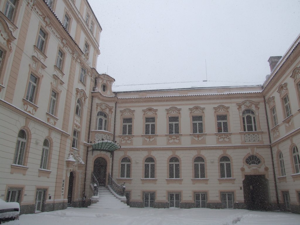 Cliquer pour voir l'image suivante