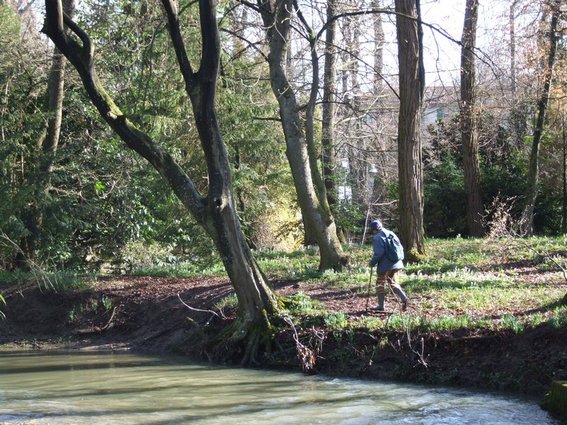 Cliquer pour voir l'image suivante