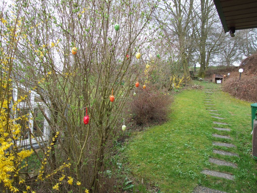 Cliquer pour voir l'image suivante