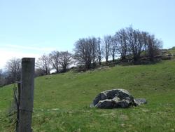 Cliquer pour agrandir l'image (2592x1944 pixels; 14762 KB)