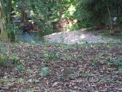 Cliquer pour agrandir l'image (2592x1944 pixels; 14762 KB)