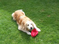 Cliquer pour agrandir l'image (2592x1944 pixels; 14762 KB)