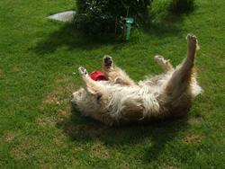 Cliquer pour agrandir l'image (2592x1944 pixels; 14762 KB)