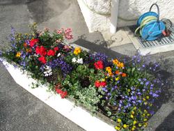 Cliquer pour agrandir l'image (2592x1944 pixels; 14762 KB)