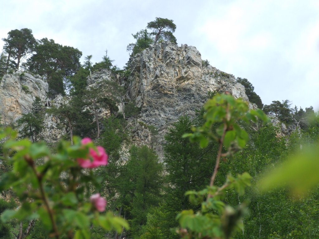 Cliquer pour voir l'image suivante