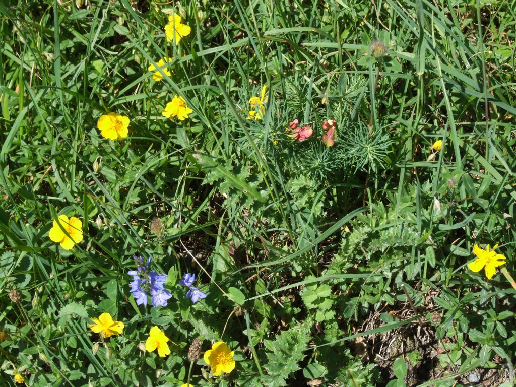 Cliquer pour voir l'image suivante