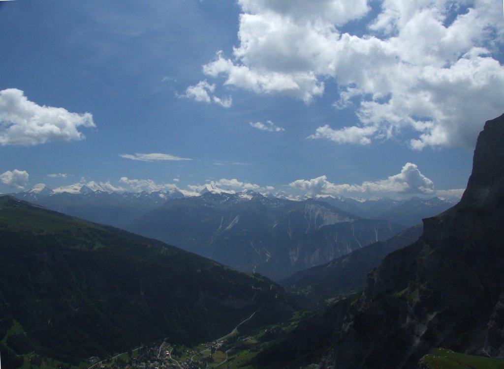 Cliquer pour voir l'image suivante