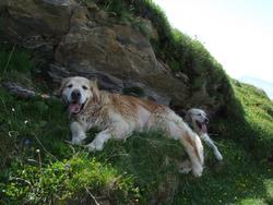 Cliquer pour agrandir l'image (1024x768 pixels; 186 KB)