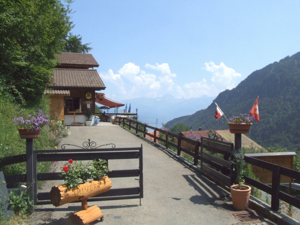 Cliquer pour voir l'image suivante