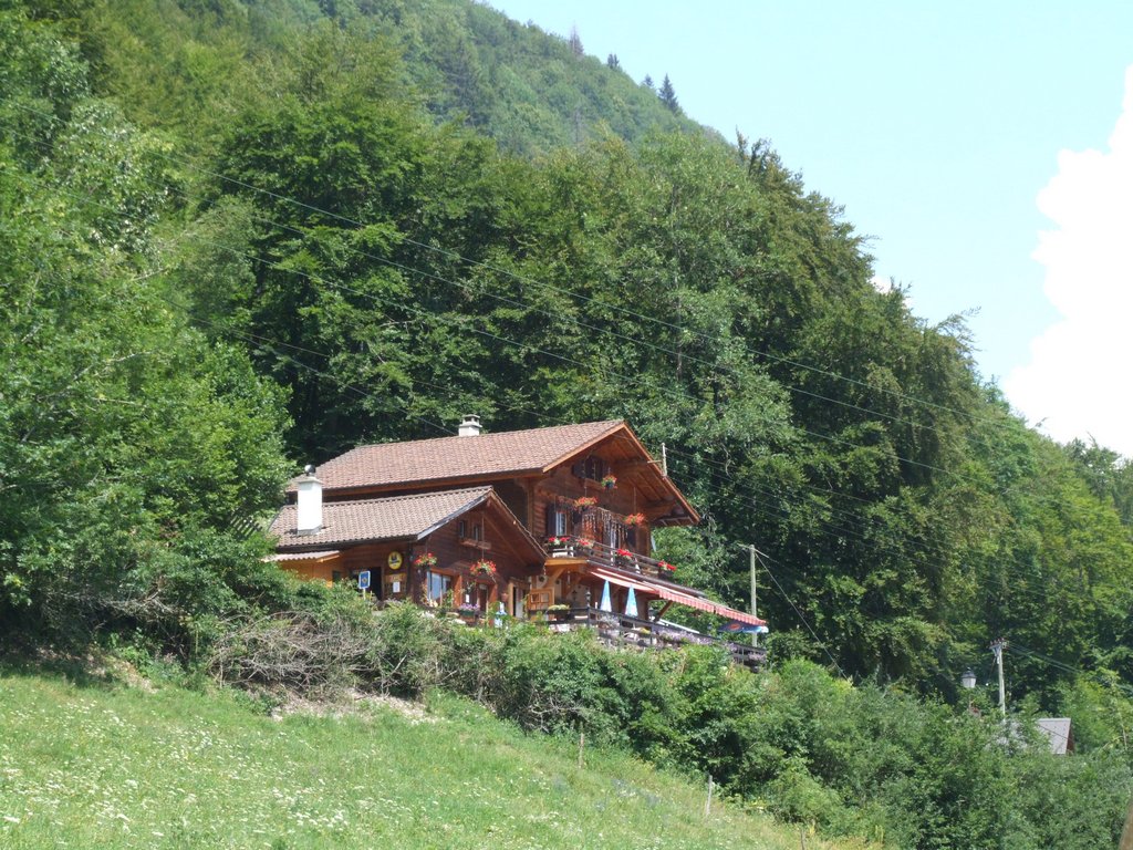 Cliquer pour voir l'image suivante