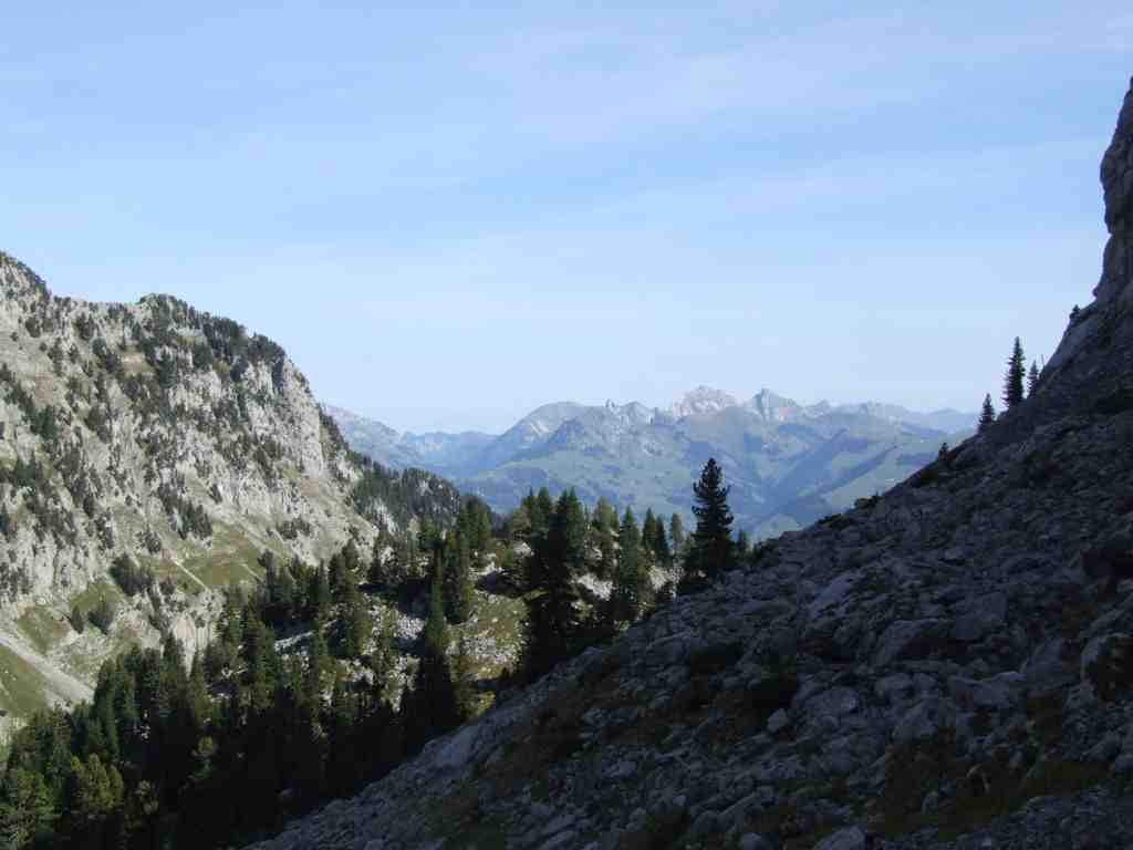 Cliquer pour voir l'image suivante