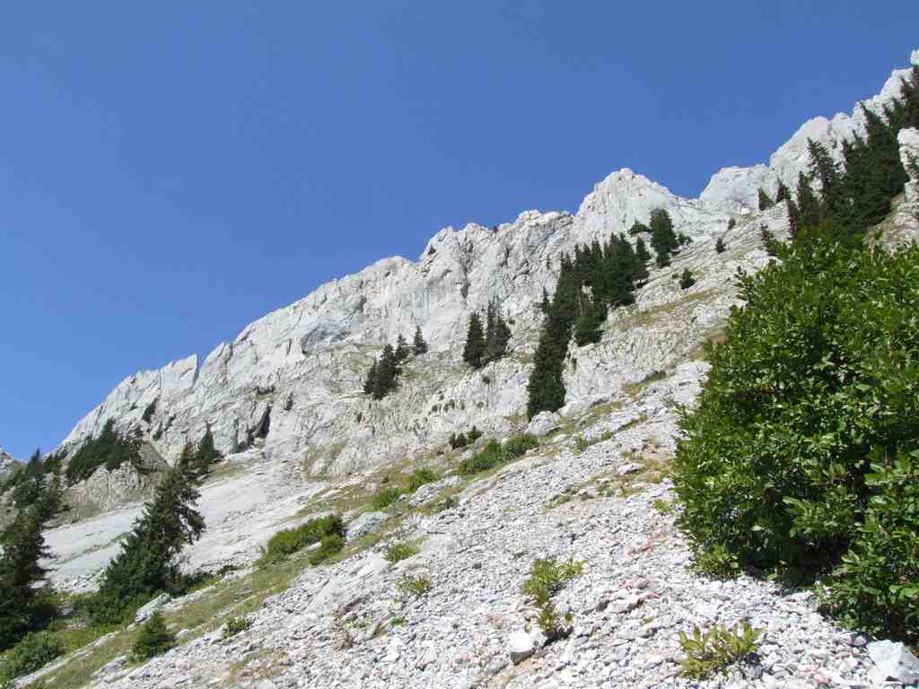 Cliquer pour voir l'image suivante