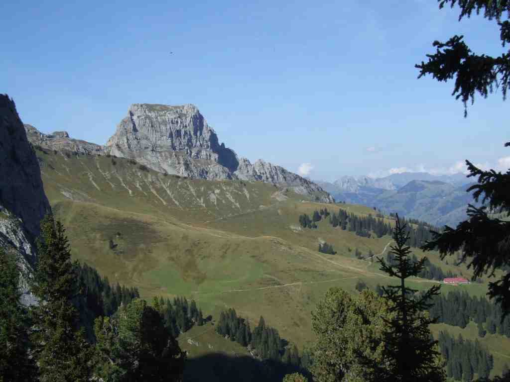 Cliquer pour voir l'image suivante