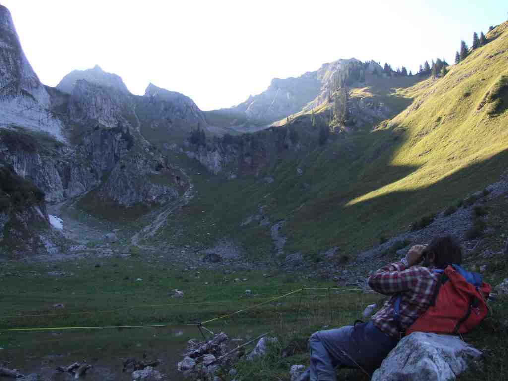 Cliquer pour voir l'image suivante