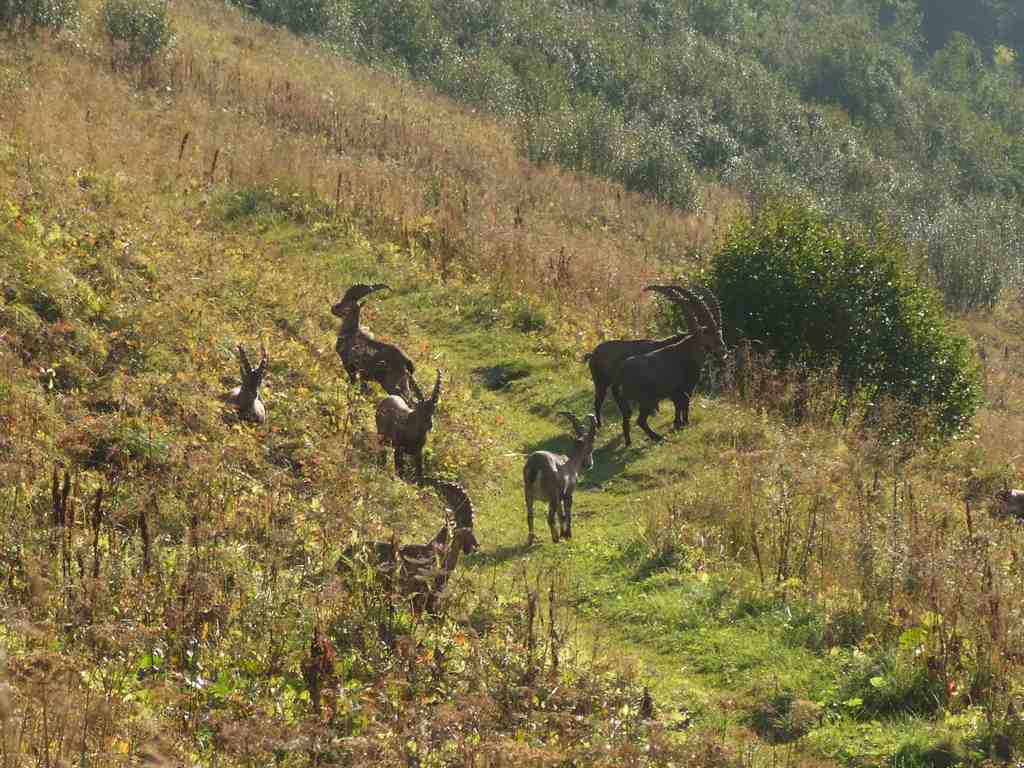 Cliquer pour voir l'image suivante