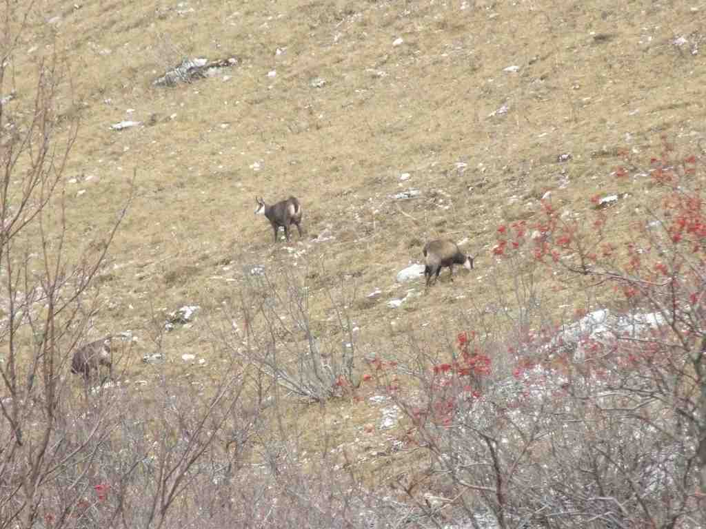 Cliquer pour voir l'image suivante