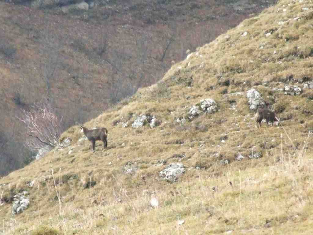 Cliquer pour voir l'image suivante