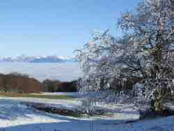 Cliquer pour agrandir l'image (1024x768 pixels; 67 KB)