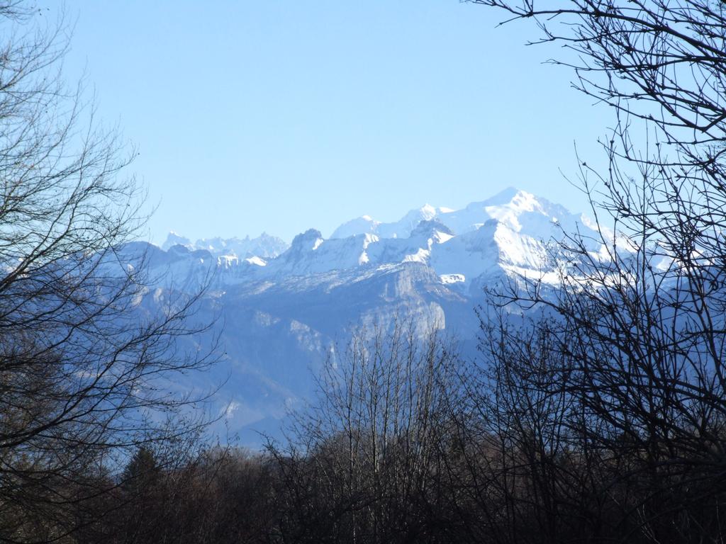 Cliquer pour voir l'image suivante