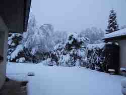 Cliquer pour agrandir l'image (2592x1944 pixels; 14762 KB)