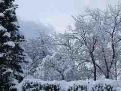 Cliquer pour agrandir l'image (2592x1944 pixels; 14762 KB)