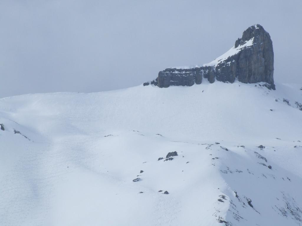 Cliquer pour voir l'image suivante