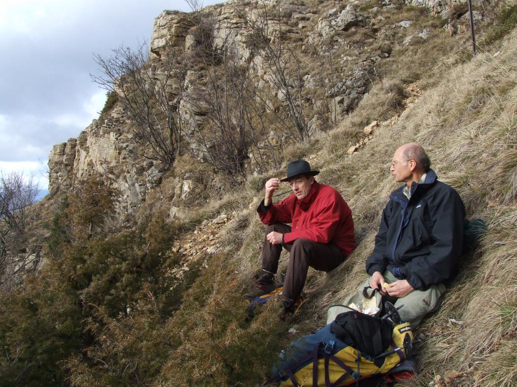 Cliquer pour voir l'image suivante