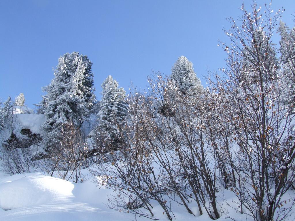 Cliquer pour voir l'image suivante