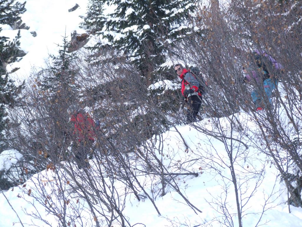 Cliquer pour voir l'image suivante