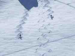 Cliquer pour agrandir l'image (1024x768 pixels; 85 KB)