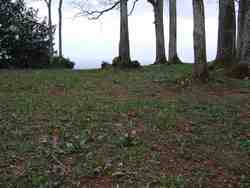 Cliquer pour agrandir l'image (1024x768 pixels; 171 KB)