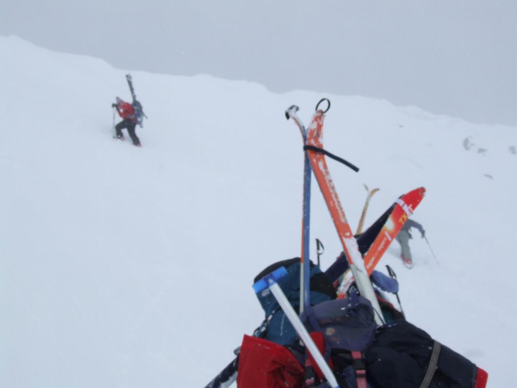 Cliquer pour voir l'image suivante